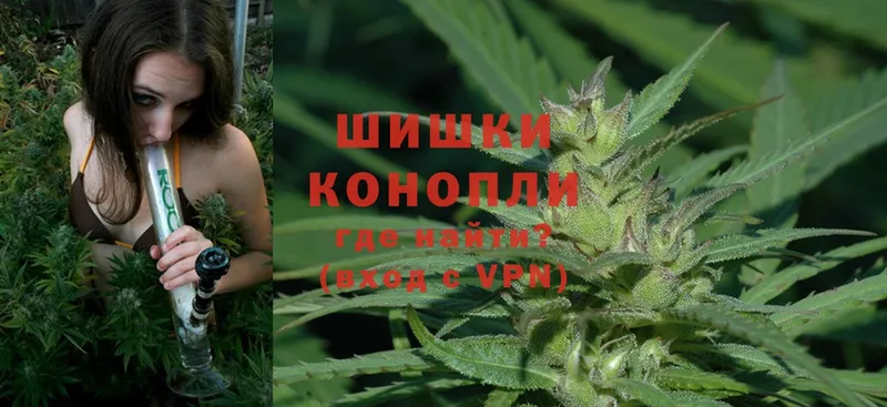 MEGA маркетплейс  Жуков  Канабис SATIVA & INDICA 